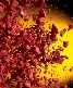 redchips.jpg